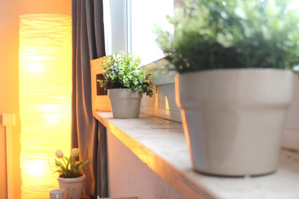 Apartment Bella Хемніц Екстер'єр фото
